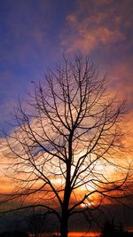 Silhouette bare tree against sky during sunset