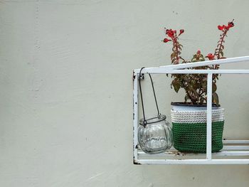 Flowers in pot