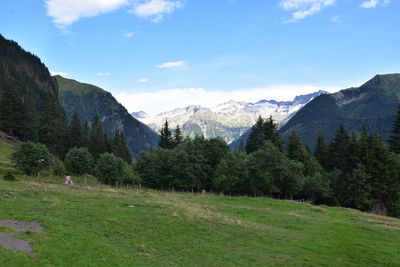 Scenic view of landscape and mountains against sky