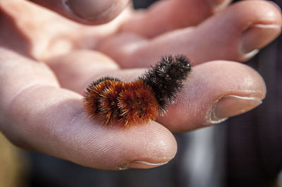 Close-up of person holding hand