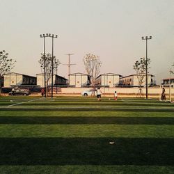 Trees on grassy field