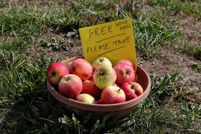 High angle view of apples in container