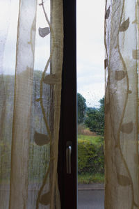 Close-up of trees seen through window