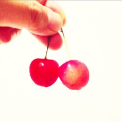 Close-up of red fruit over white background