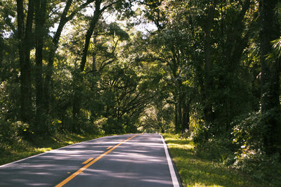 Road amidst trees