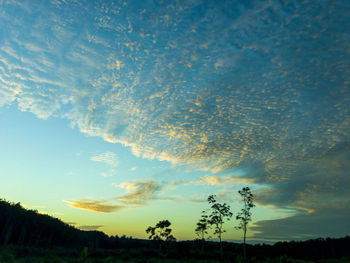 Low angle view of silhouette trees against sky at sunset