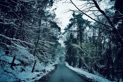 Empty road amidst trees in forest during winter