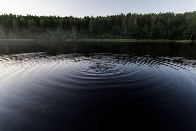 Scenic view of lake