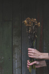 Midsection of woman holding umbrella on wooden door