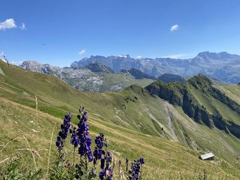 mountain