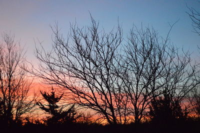 Low angle view of silhouette bare trees against sky