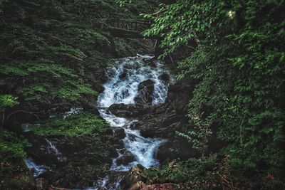 Scenic view of waterfall in forest