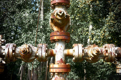 Close-up of statue against plants