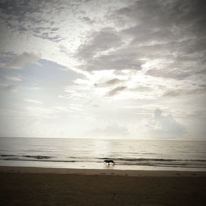 Scenic view of sea against cloudy sky