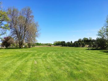 Scenic view of field against clear blue sky