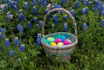 Multi colored flowers in basket