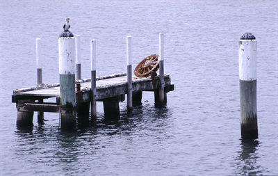 Bird perching on pier in sea