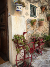 Potted plants outside building