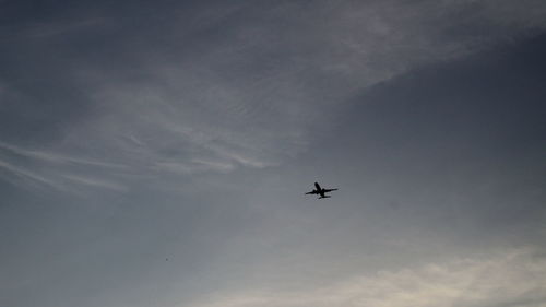 Low angle view of silhouette airplane flying in sky