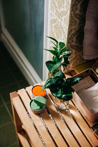 High angle view of potted plant on table at home