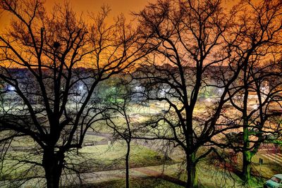 Low angle view of trees against sky during sunset