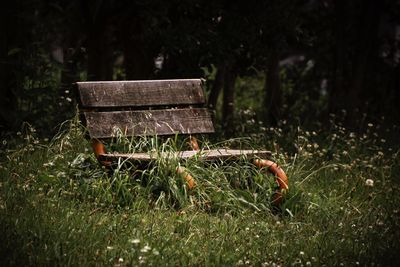 Close-up of old bench in field