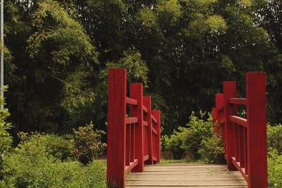 Red trees