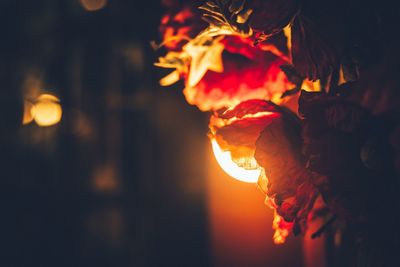 Close-up of illuminated light painting at night