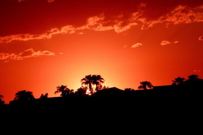 Silhouette trees against orange sky