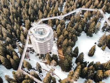 Treewalk, pohorje