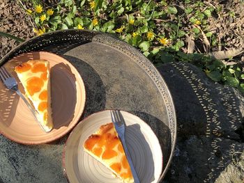 High angle view of food on rock during sunny day