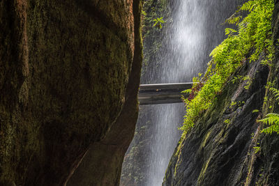 Scenic view of waterfall