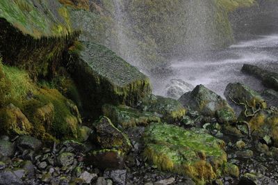 Scenic view of waterfall