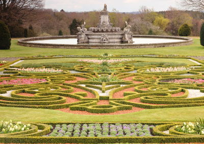 Trees in formal garden