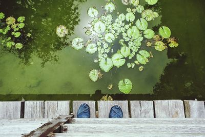 Low section of man standing on bridge over lake