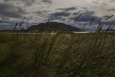 View of field against cloudy sky