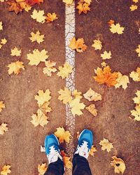 Low section of person standing on autumn leaves