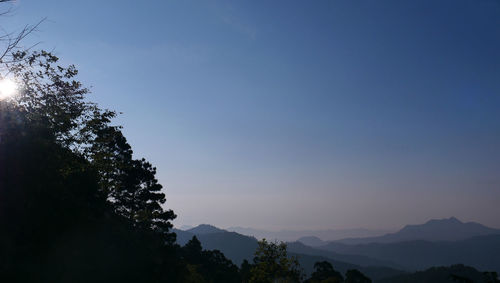 Low angle view of silhouette trees against sky during sunset