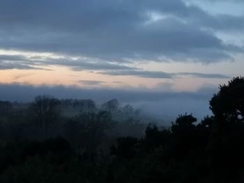 Scenic view of silhouette trees against sky during sunset