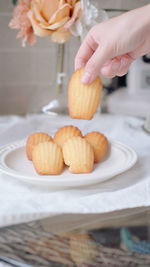 Close-up of woman holding cookies