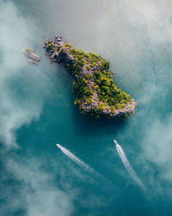 High angle view of sailboat in sea