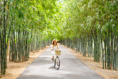 Rear view of woman riding bicycle