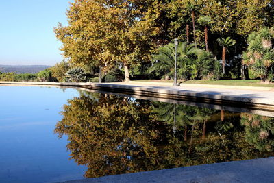 Trees by lake against sky