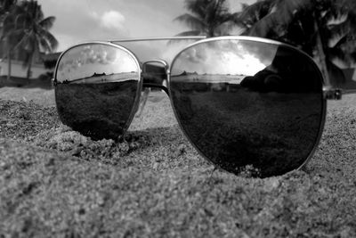 Close-up of grass against sky