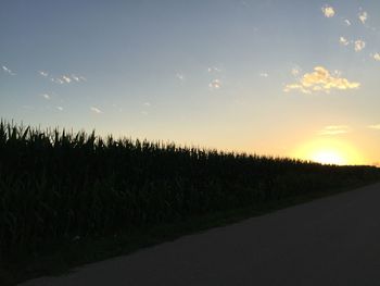 Scenic view of field against sky during sunset