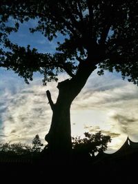 Low angle view of trees against sky