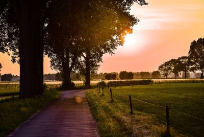 Footpath amidst trees on field against sky during sunset