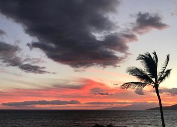 Silhouette palm tree by sea against sky during sunset