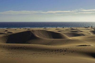 Scenic view of beach against clear sky