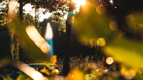 Sunlight streaming through glass window on sunny day